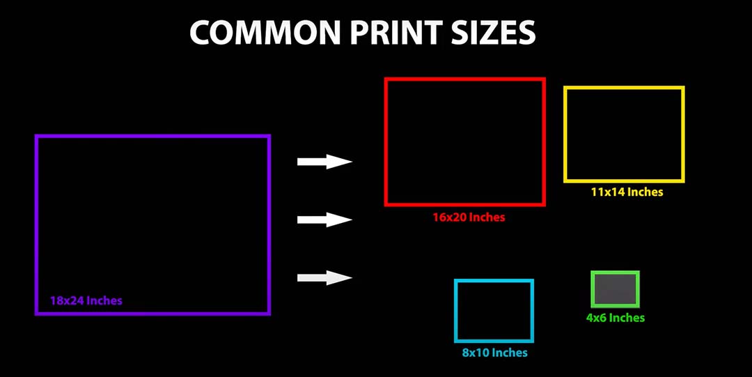 Rebelle common print sizes