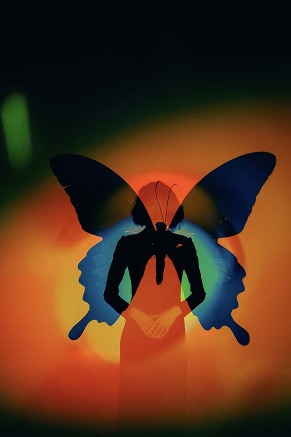 Polina Washington photo art butterfly
