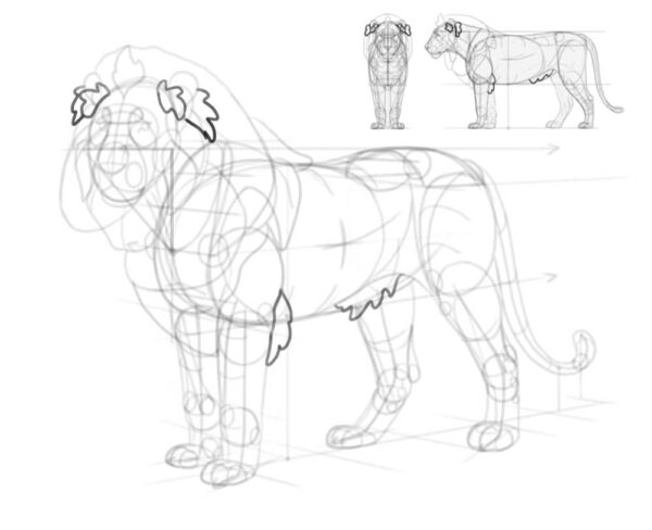 how to draw a lion 34
