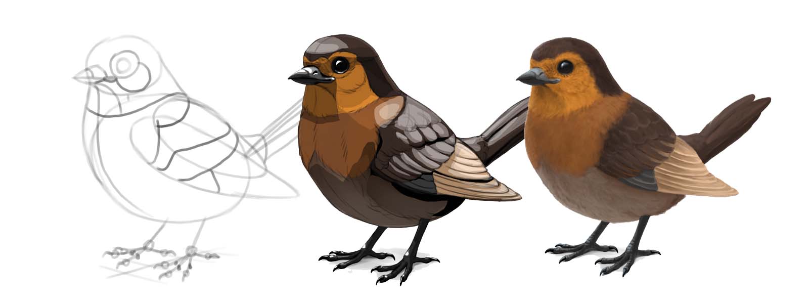 how to draw a bird Feature Image