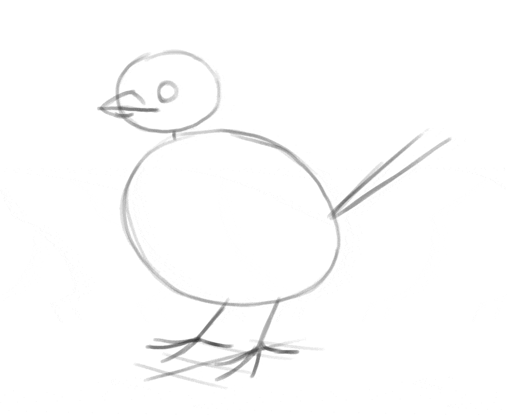 how to draw a bird GIF 1