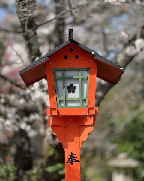 Photo de la maison d'oiseau de Sky Bergman