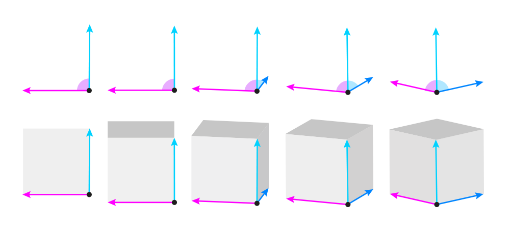 Perspectiva para iniciantes 8