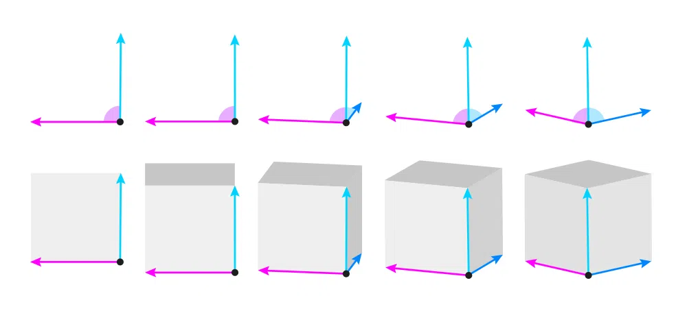 Perspectiva para principiantes 8