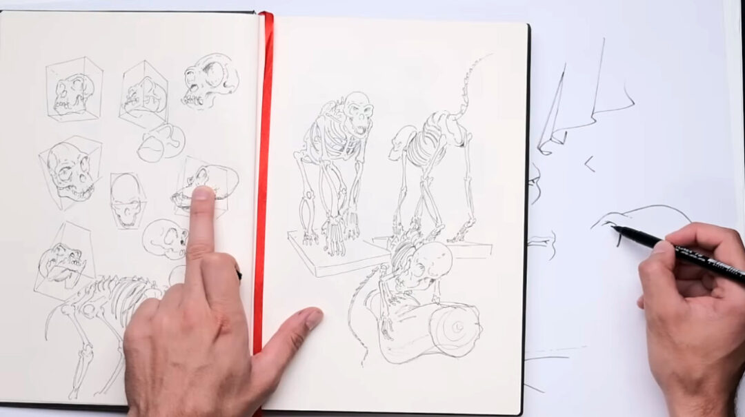 How T-Lines Make Your Drawings Awesome: The Easiest Art Trick Ever 2 T-Lines Example Image 2