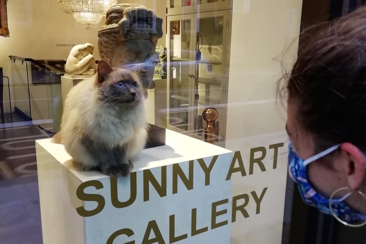 Sunny Art Gallery