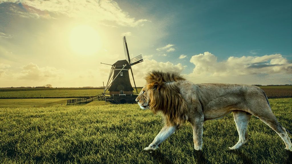 Combine two images in adobe photoshop - Lion and a windmill in a field