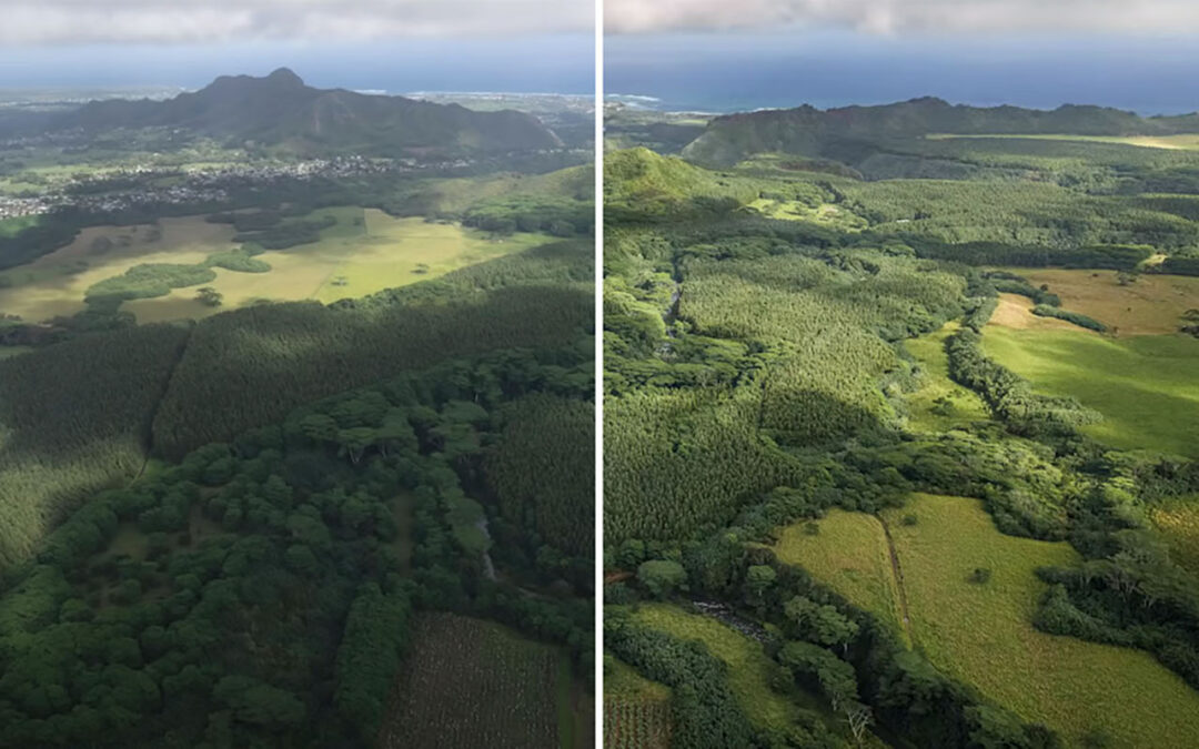 Como melhorar rapidamente a aparência de suas fotos de paisagens usando o Adobe Photoshop – com o especialista Colin Smith