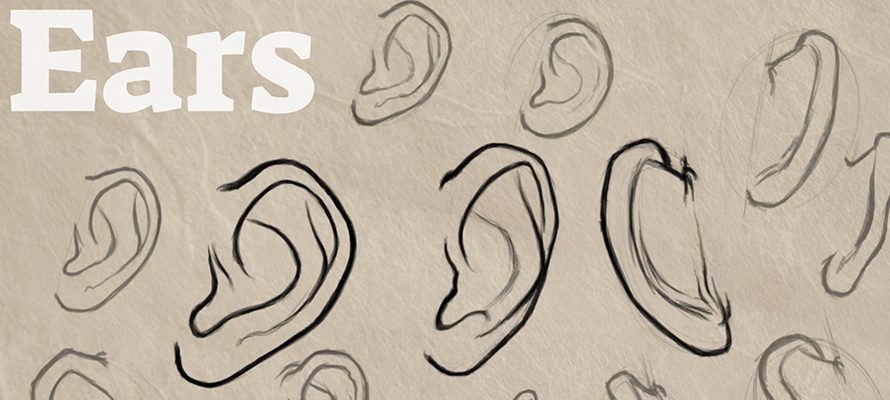 How to draw ears