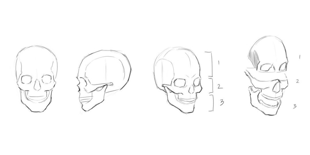 How to draw a scull