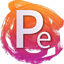 PE8 Icon